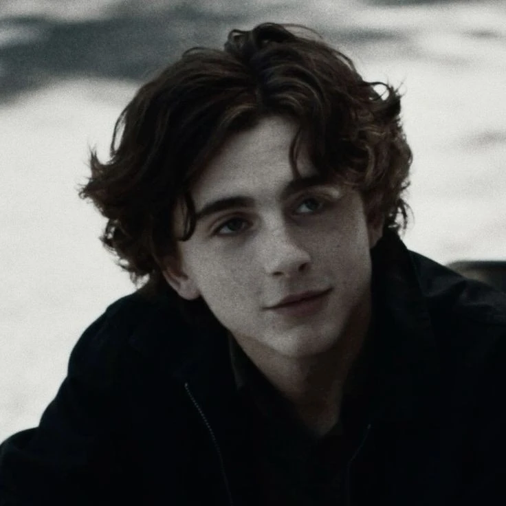 Regulus Black •