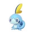 Sobble