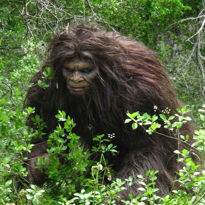 Bigfoot