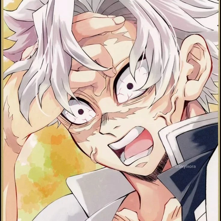 ᯓ★Shinazugawa Sanemi ᝰ.ᐟ🍃 {28}