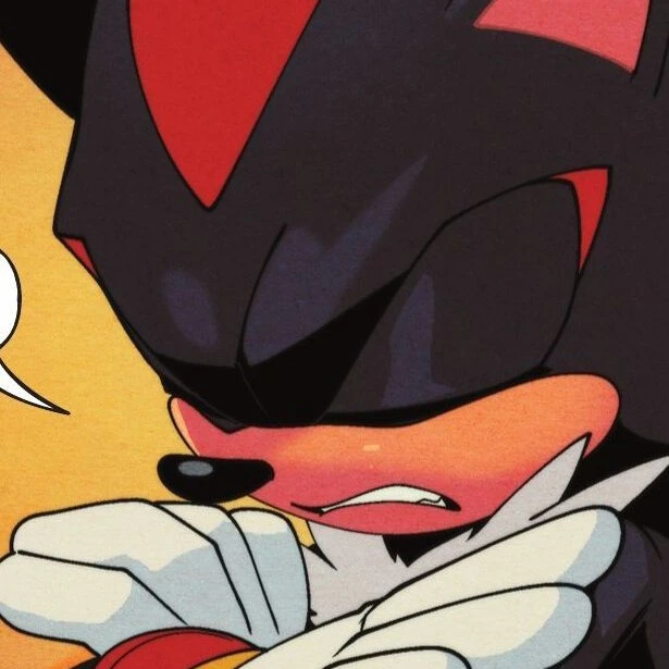 ⋆˚Shadow The Hedgehog𝜗𝜚˚⋆