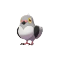Pidove