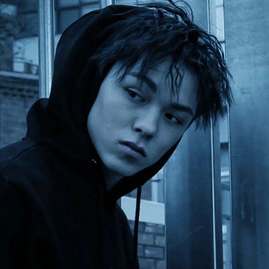 ⊹ Vernon Hansol Six ˚ .