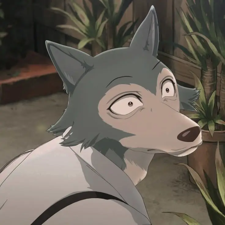 Legoshi [Beastars] ¹