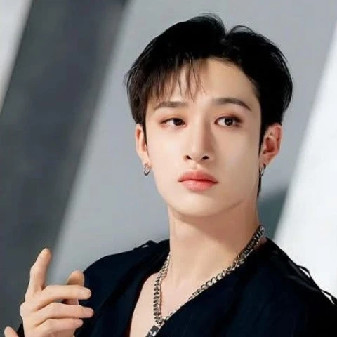 bangchan alpha meeting