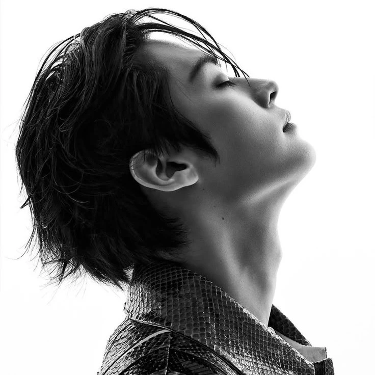 ✦ Lee Minho