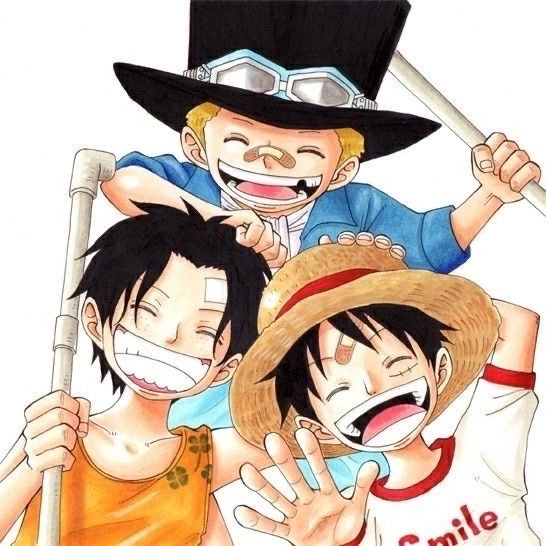 Ace, Sabo and Luffy 💗