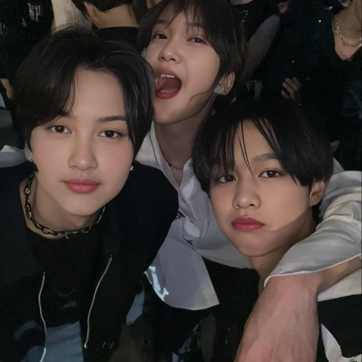 three naughty brothers