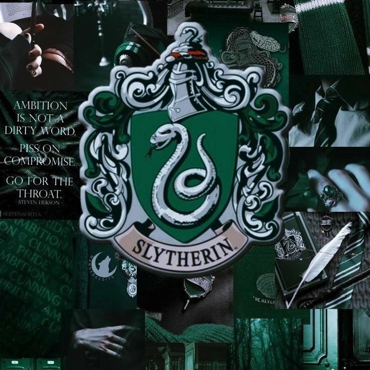 Slytherin boys