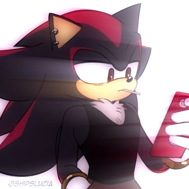 Shadow coach