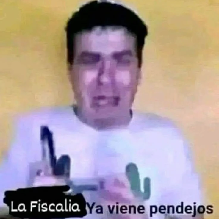🍧 : 𝓐᥎іs᥆s