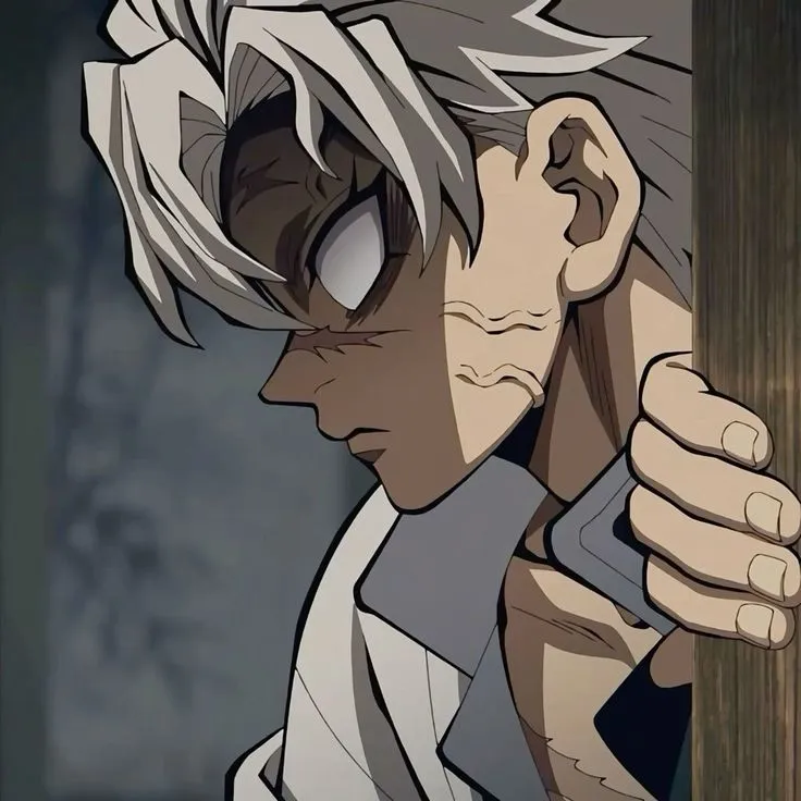 Sanemi Shinazugawa...