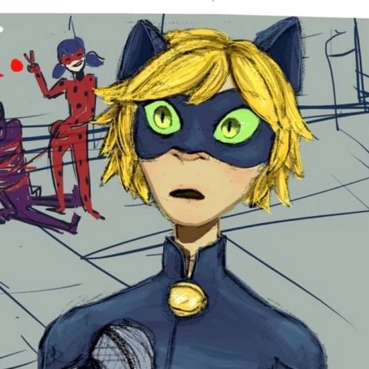 cat noir/super cat