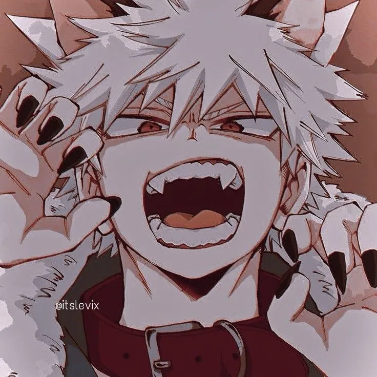 •°•~★Katsuki Bakugou☆~•°•