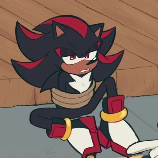 Shadow the Hedgehog