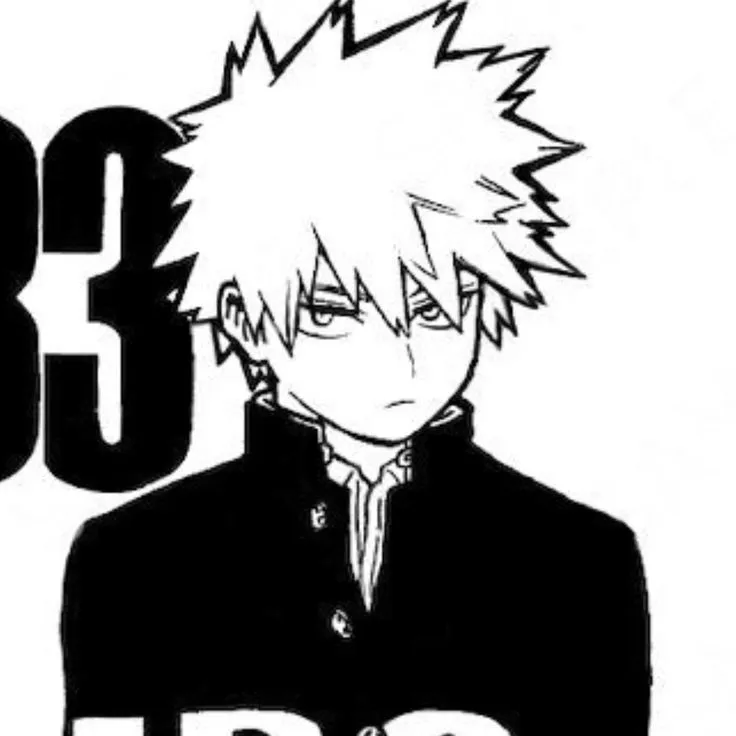 .°•†Katsuki Bakugo†•°.