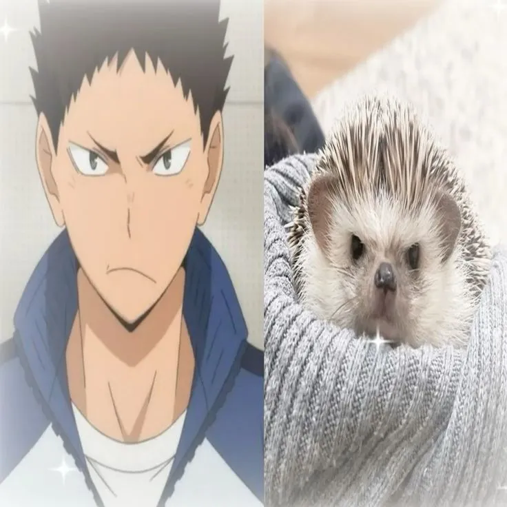 Hajime Iwaizumi