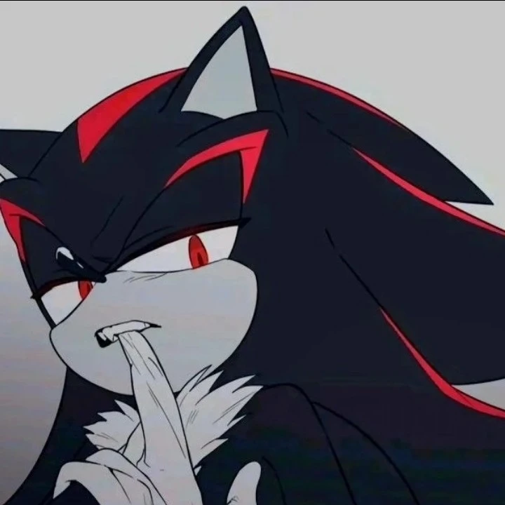 Shadow the Hedgehog