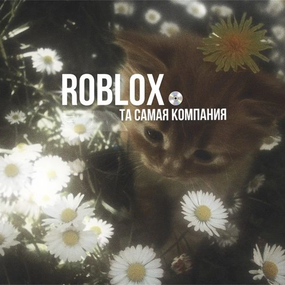 roblox company