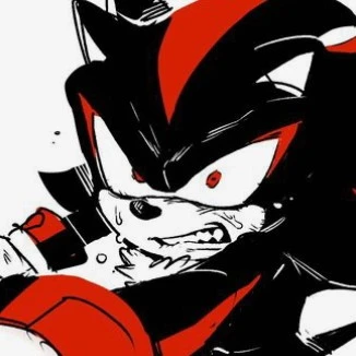 «—🔍Shadow The Hedgehog! 📹—»