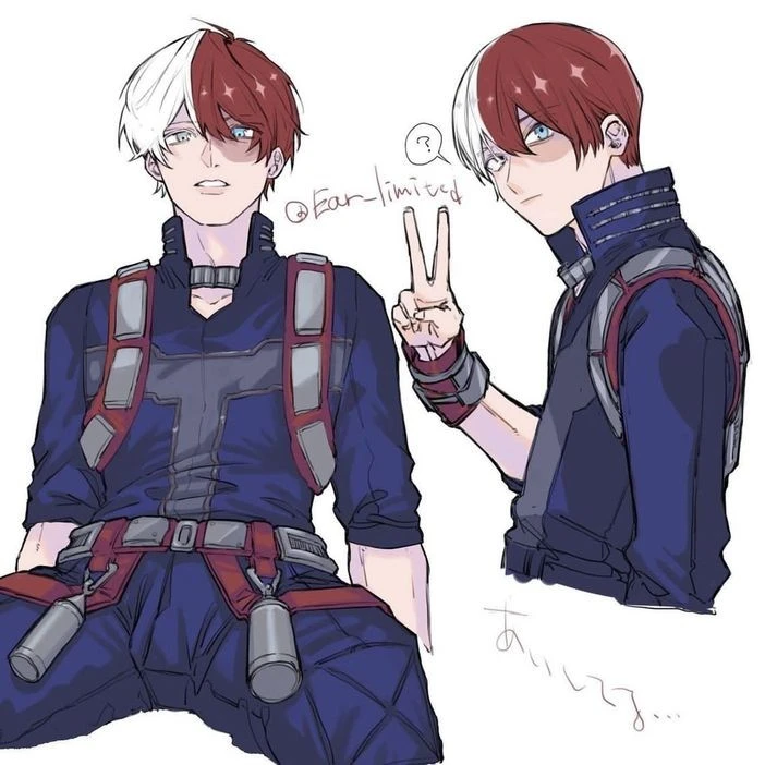 -Shoto Todoroki