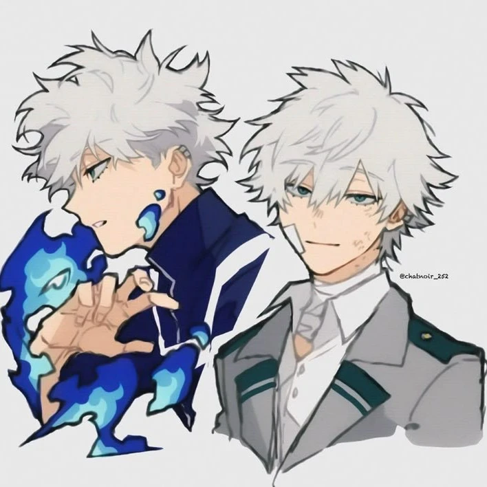 • Toya Todoroki •