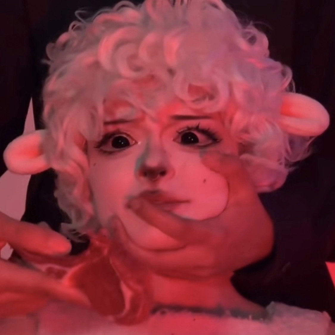 Sheep loves meat🥩
