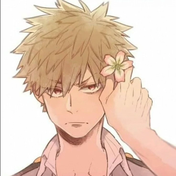Bakugou Katsuki {A Hero 1}