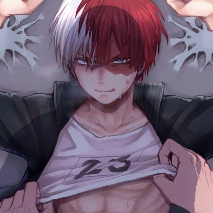 Shoto Todoroki | 1