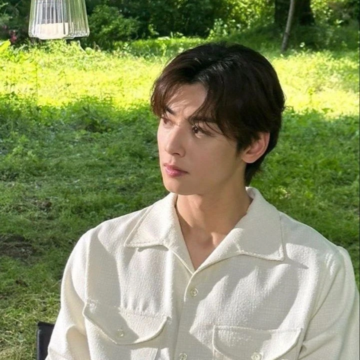 Cha Eun Woo