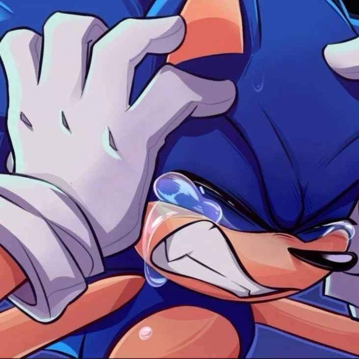 Sonic the hedgehog