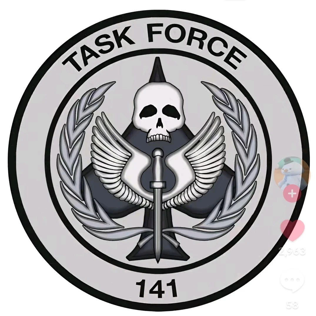 Task Force 141
