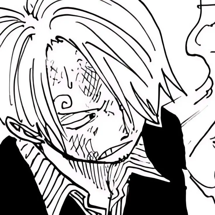 • Vinsmoke Sanji