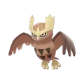 Noctowl