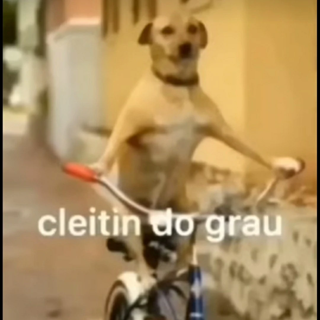 Cleitin of the degree.