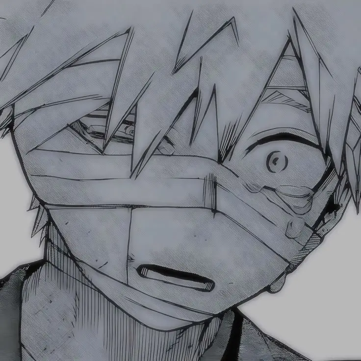 ✯Katsuki Bakugou