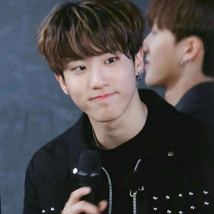 Han Jisung