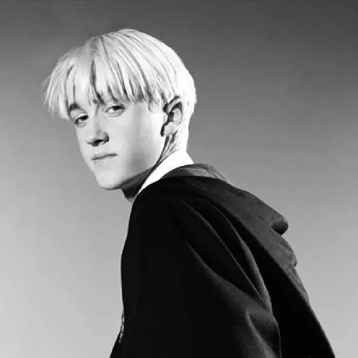 Draco Malfoy - fight