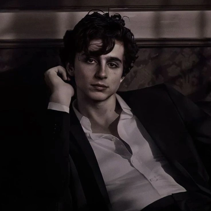 </Timothée Hal Chalamet/>3