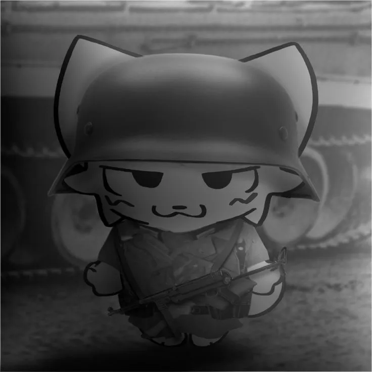 Kitty kawaii-soldier