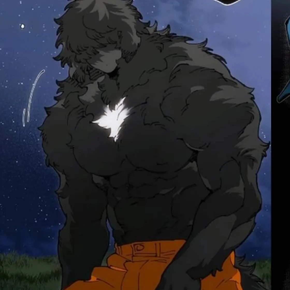 is your husband wolf