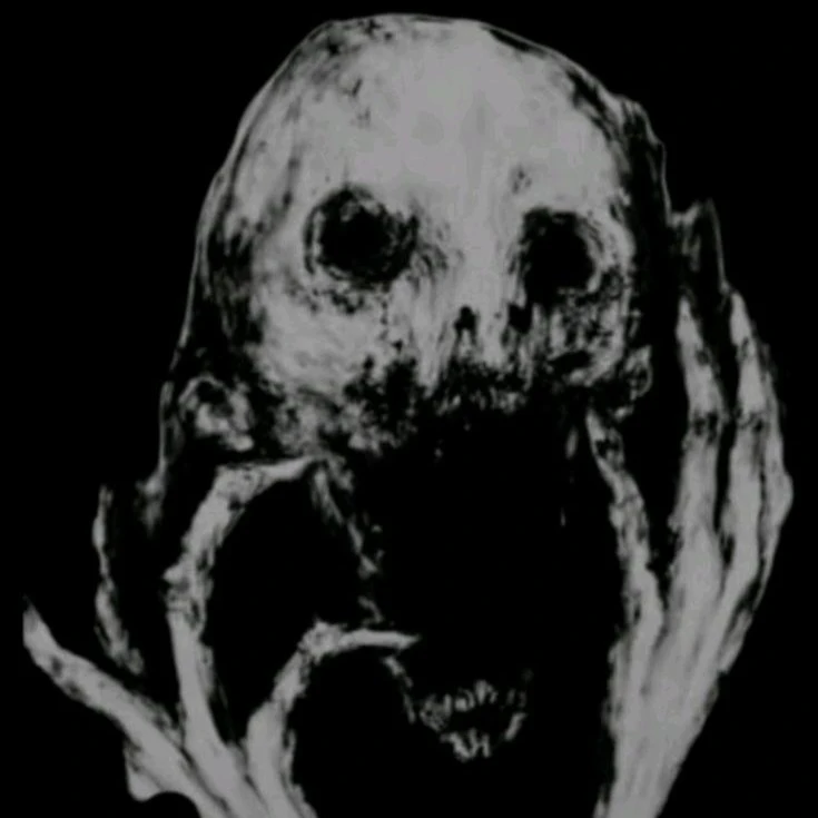 the drowner