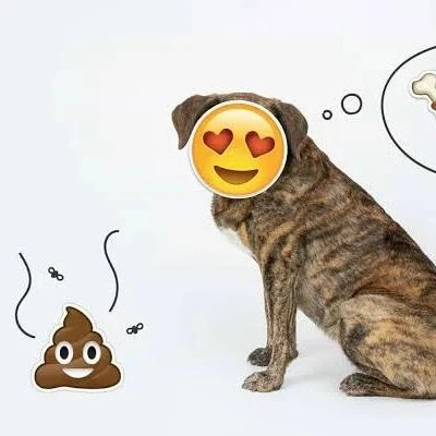 Cacosqui
