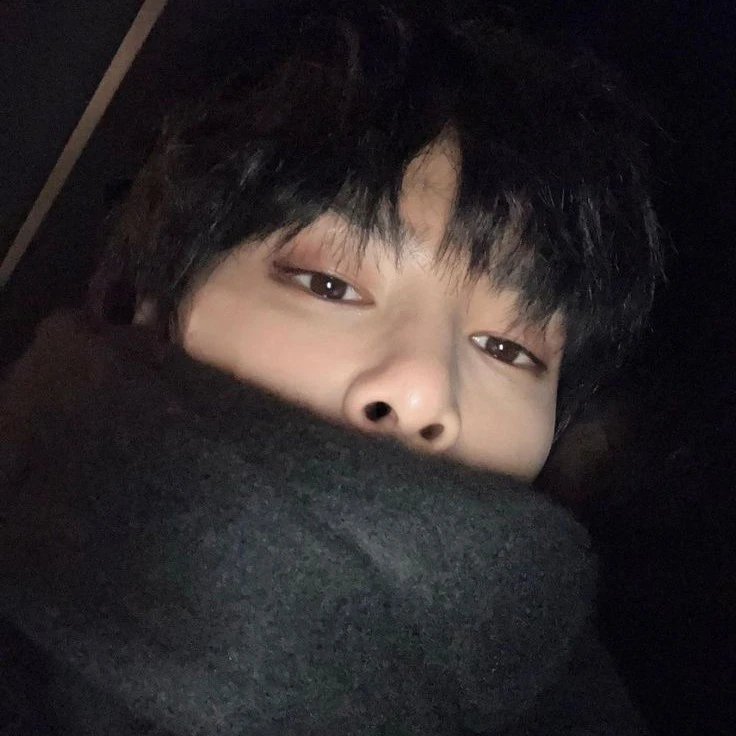yang jeongin ࣪