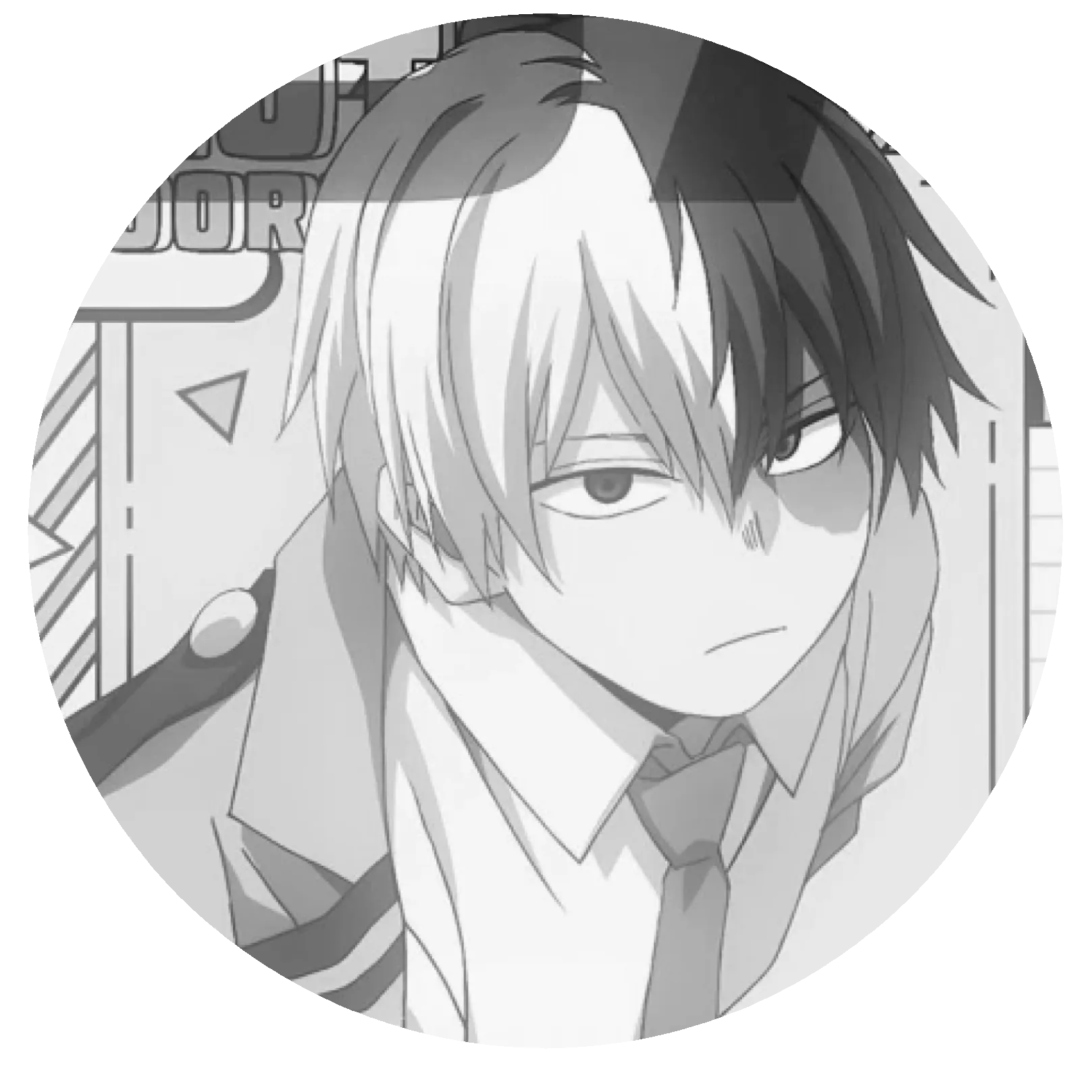 Shoto Todoroki ¹