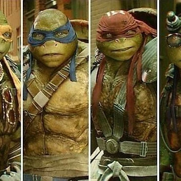 🐢👊💥🍕