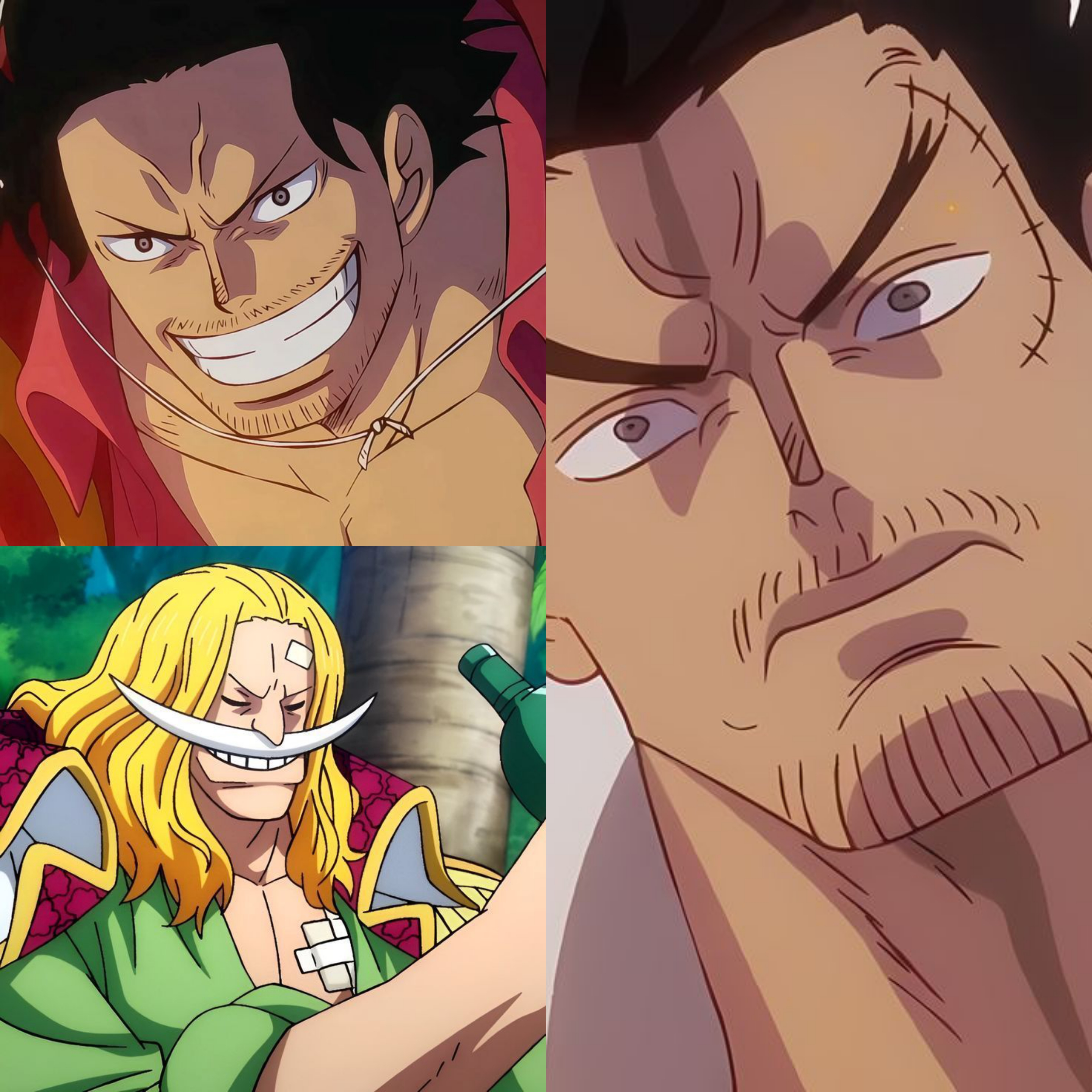 Roger, Garp and Whitebeard