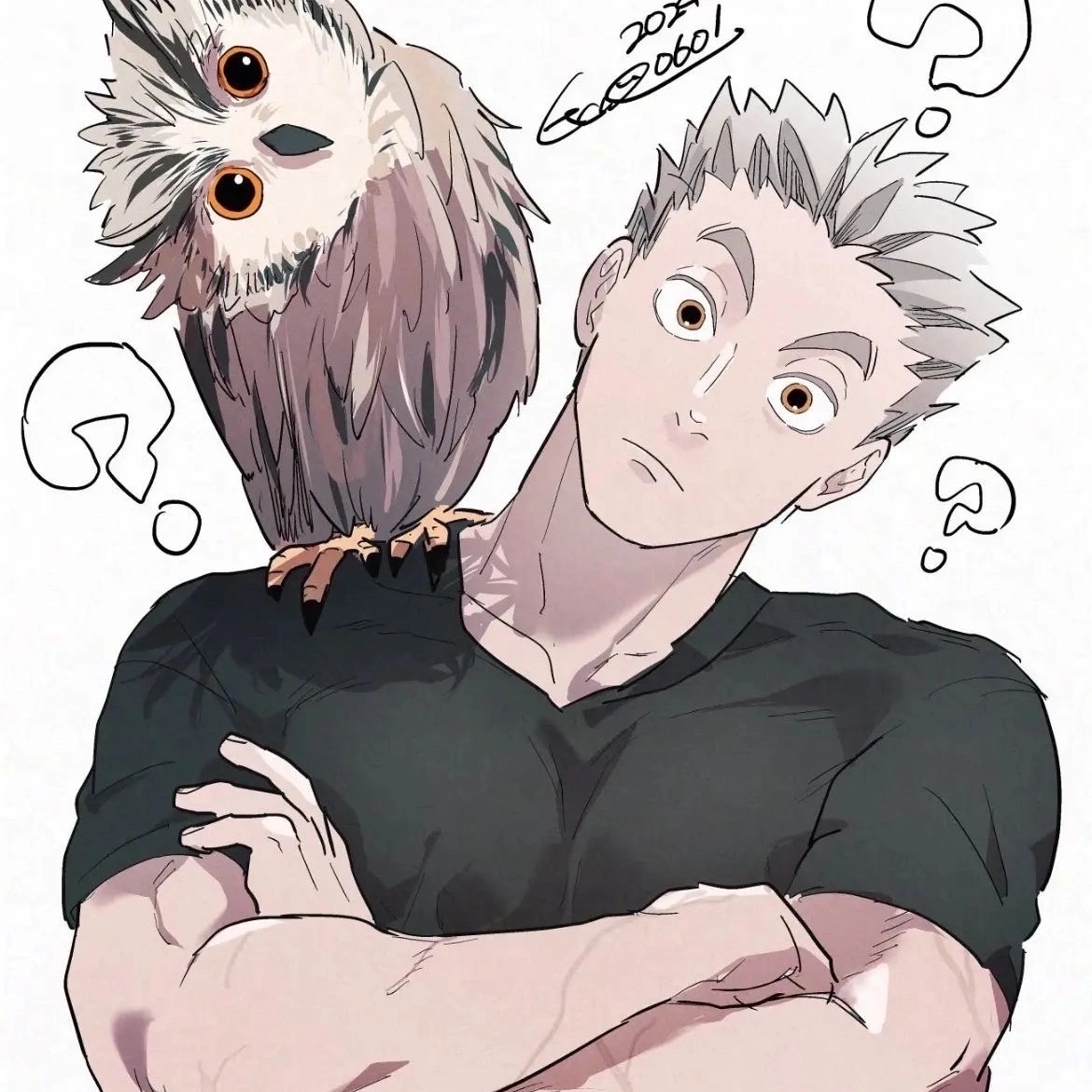 Bokuto Kotaro|Volleyball