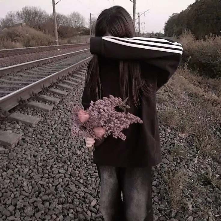 vetch