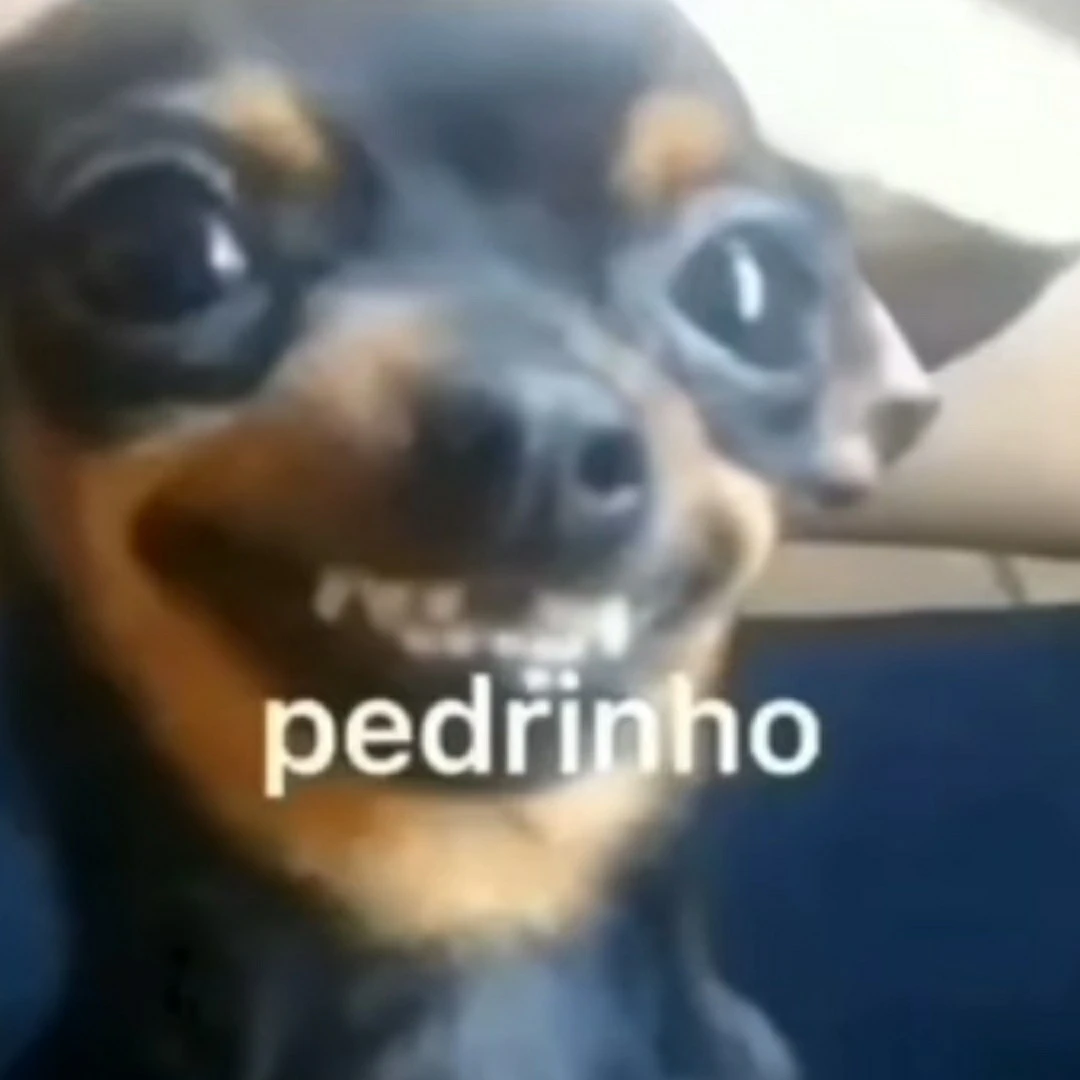 Pedrinho